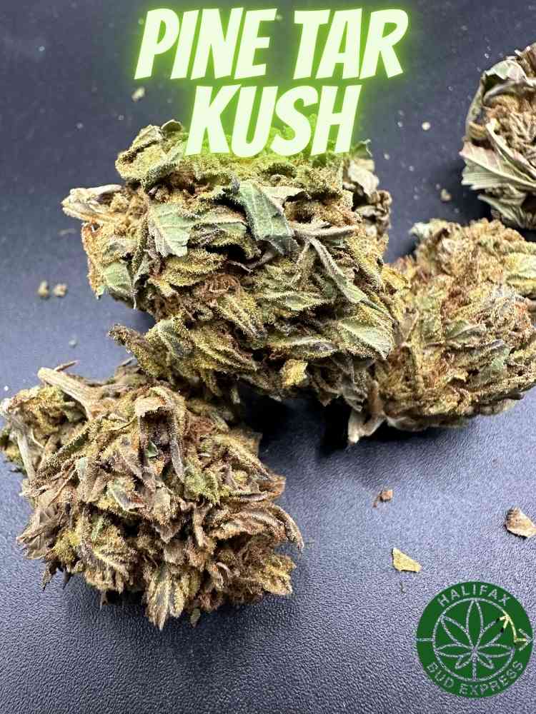 Monday & Friday – Buy One OZ Get1/2 oz Free