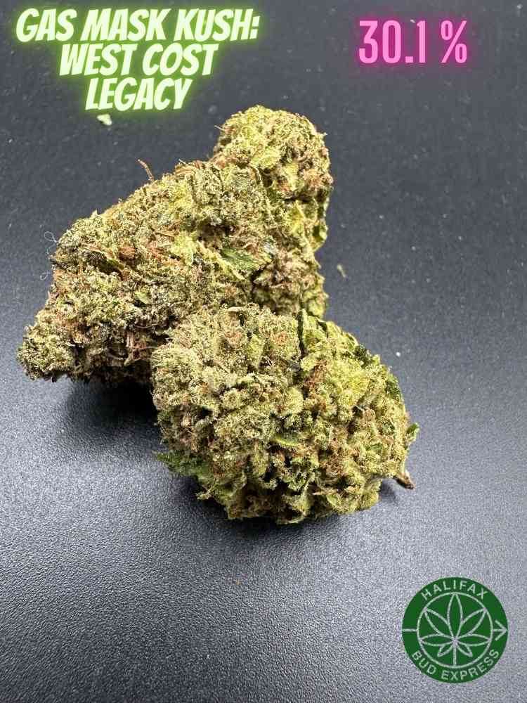 Gas Mask Kush AAA+++